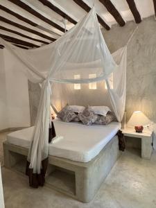Coastal calm apartment