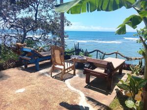Noahs surf house