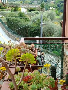 Carla home - 8 min beach Camogli - terrace & box