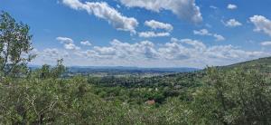 La Limonaia Cortona