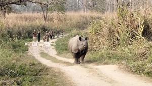 Tiger Wildlife Camp