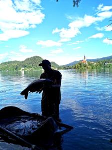 Camp Starshine near Bled