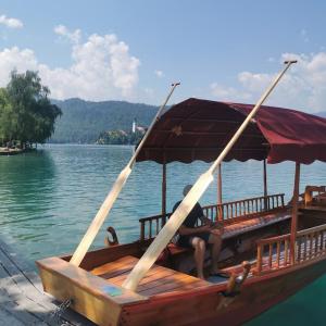 Camp Starshine near Bled