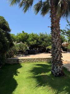Villa Aspasia with private Jacuzzi - Oasis Resort