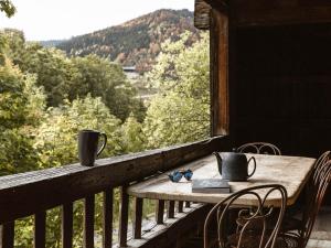 Chalet savoyard rénové, 10 pers, proche pistes, animaux admis - FR-1-304-162