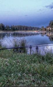 Design FW Kell am See