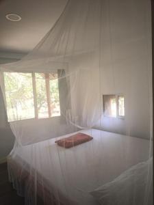 le Surya kep le soleil