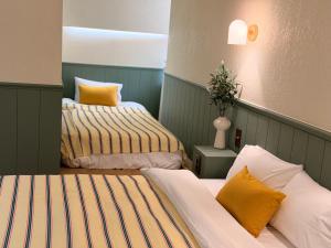 Casa olive 까사올리브