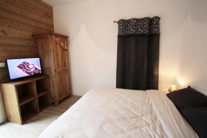 Les Chalets Du Grand Galibier - 3 pièces 5 personnes exposé Sud MAE-8964