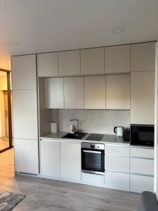 Kaunas City Center Apartment