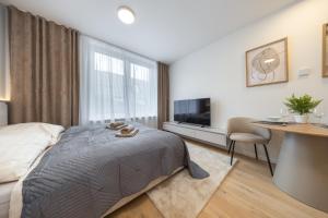 Luxury Studio VYDRICA, Castle & Danube, Prime Old Town