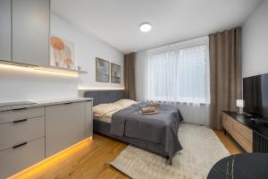 Luxury Studio VYDRICA, Castle & Danube, Prime Old Town