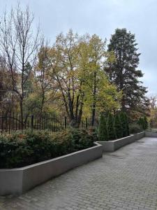 Sunset Luxury One Bedroom Apartment