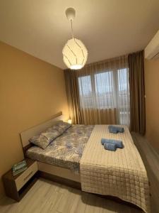 Sunset Luxury One Bedroom Apartment