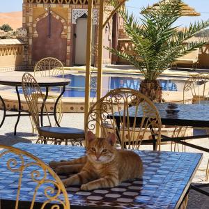 Riad Berber