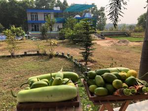 Luxury 3BHK Private Pool Farmhouse Near Durgapur