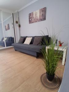 Studio Benal Iris