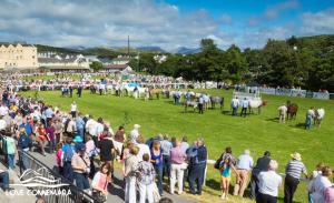Apartment 299 - Clifden