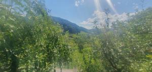Sunny Hilltop Cottage - 42 km from Ljubljana