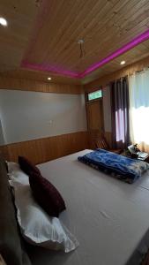 Tirthan mountain breeze stays