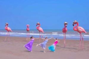 Flamingo Hải Tiến- căn hộ 2 phòng ngủ, view quang cảnh đại dương