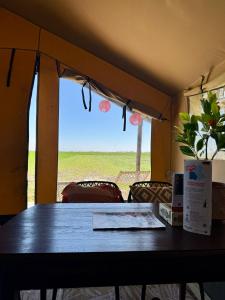 Glamping Safaritent 4 persoons