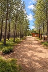 Refugio bosque