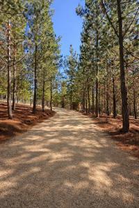 Refugio bosque