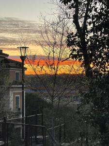 Garden house Garbatella 29