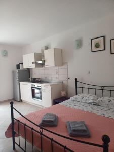 Studio Apartment Ivo