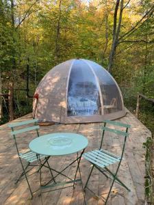 Domaine de létang du Tom et sa bulle