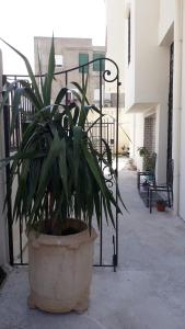 Architect-designed house