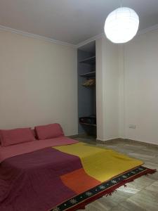 Architect-designed house