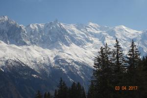 Appartement confortable à Chamonix-Mont-Blanc avec balcon