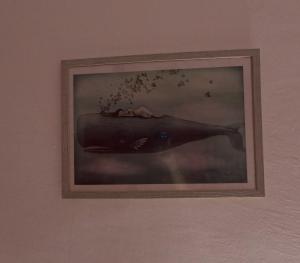 The Whale B&B img19