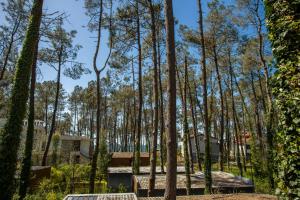 Magnetoria 3 BR House in pine forest - 3 mins to the sea