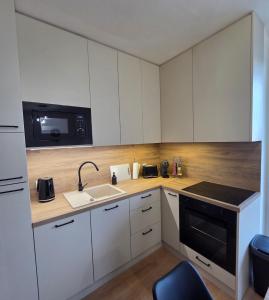 Apartment 88 Zvolen Centre - Next to Europa SC