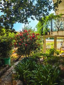 Silva Villa