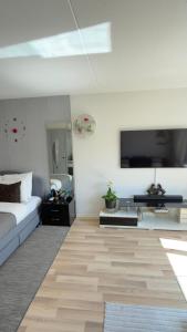 Bright Studio in Heart of Zurich