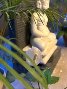Buddha Premium Stays