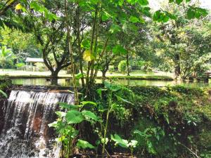 Mystic Waters Retreat