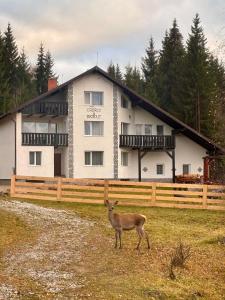 Casa Bradut