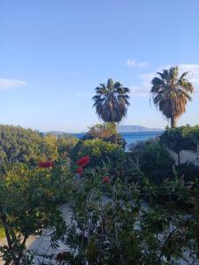 Scenic Coastal Getaway