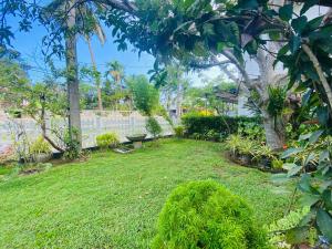 Clover Stay - Midigama