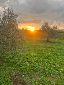 Anima SARDINIA img22