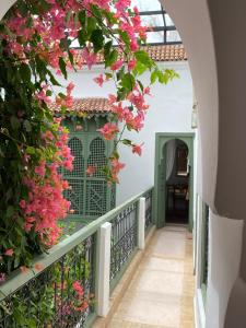 Riad Timila