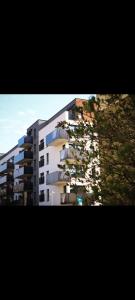 TIO Apartament