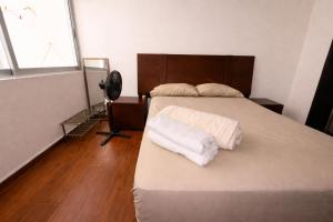 Rinconcito de Paz en Xalapa