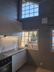 Øren modern apartment