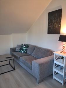 Øren modern apartment